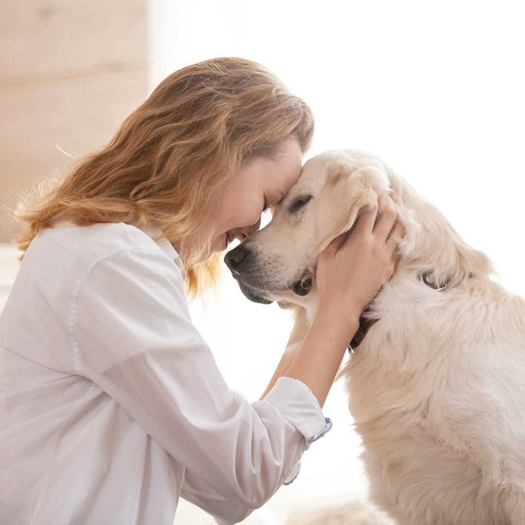 Doggy playing with parent Doggy playing with parent