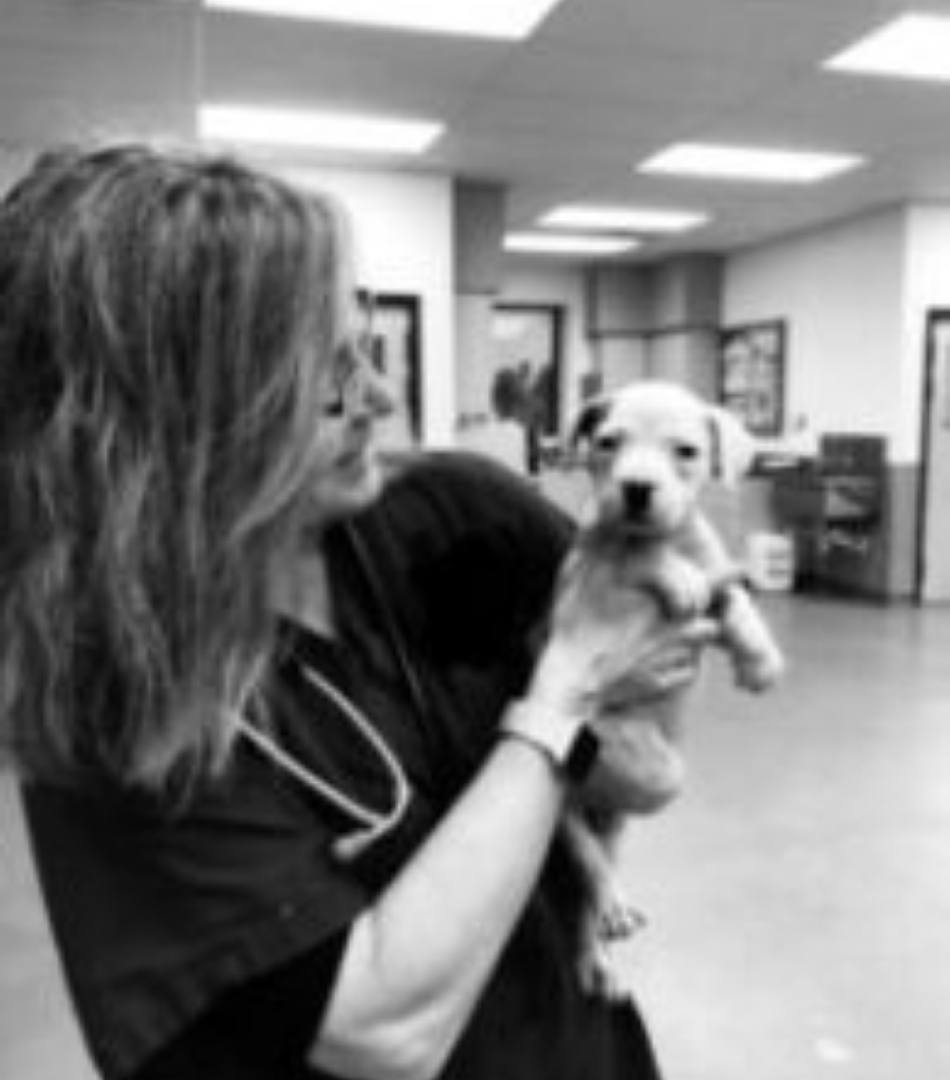 Dr. Lisa Van der Gaag, VMD