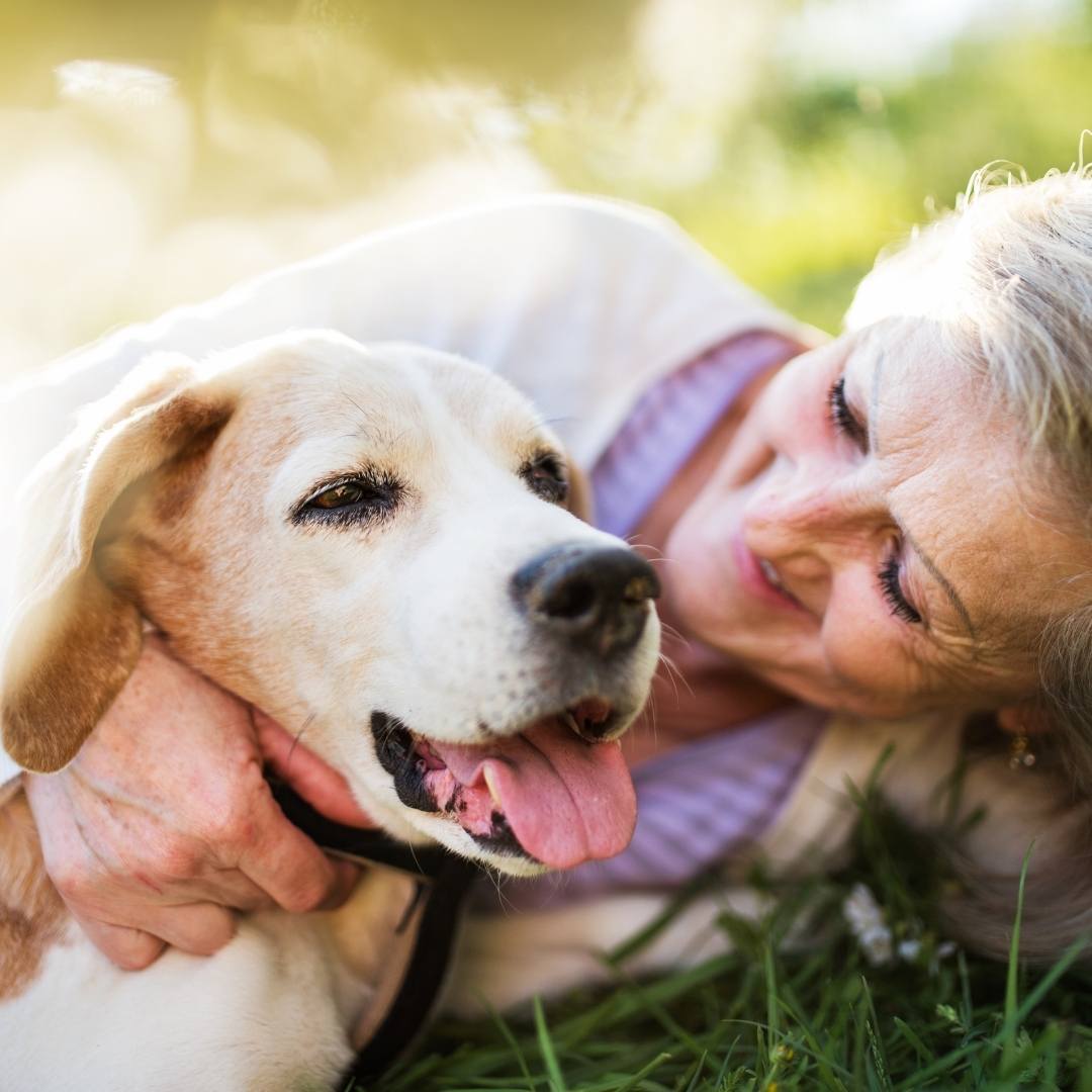 Puppy playing with old lady Puppy playing with old lady