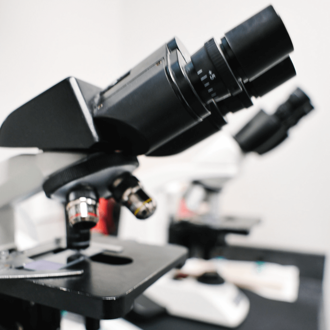Veterinary Microscope Png Payment Options For Veterinary Care | Doylestown Animal Medical Clinic