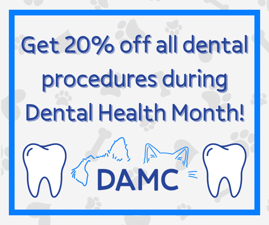 Dental promo