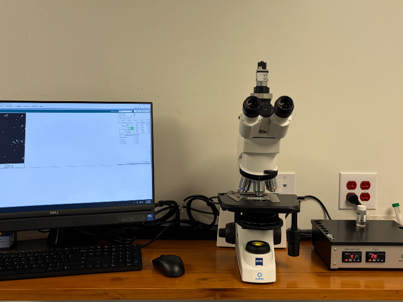 Dog lying on pet bed with her puppies